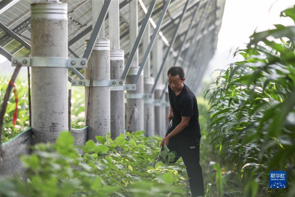 试玩游戏的软件